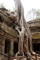 45_ta_prohm_012