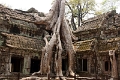 45_ta_prohm_013