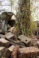 45_ta_prohm_014