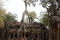 45_ta_prohm_015