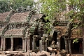 45_ta_prohm_017