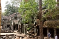 45_ta_prohm_018