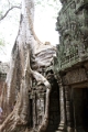45_ta_prohm_025