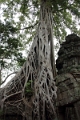 45_ta_prohm_029