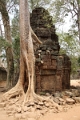 45_ta_prohm_033
