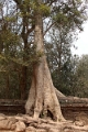 45_ta_prohm_034