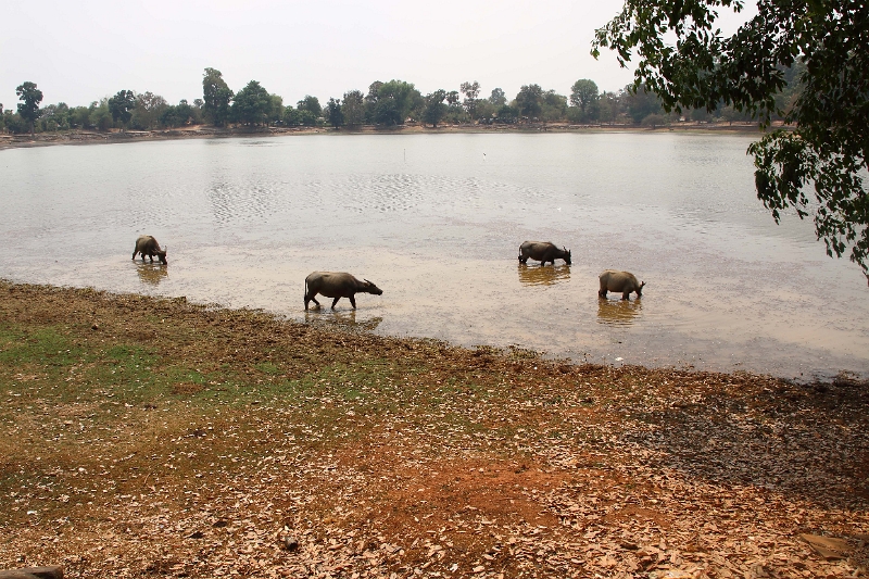 46_angkor_lac_002.jpg