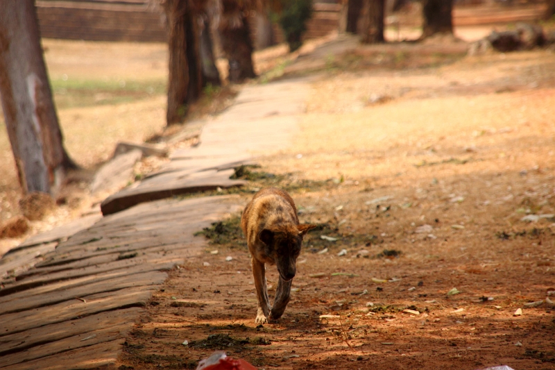 46_angkor_lac_003.jpg