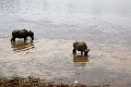 46_angkor_lac_001