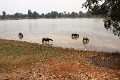46_angkor_lac_002
