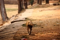 46_angkor_lac_003