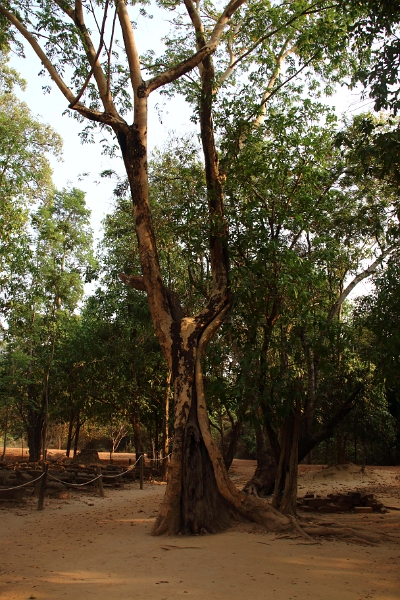 47_banteay_040.jpg
