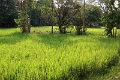 47_banteay_001