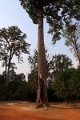 47_banteay_002