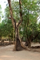 47_banteay_039
