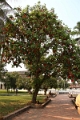 50_luang_prabang_palais_royal_018