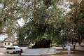 52_luang_prabang_wat_aham_010