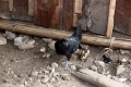 56_village_laotien_022