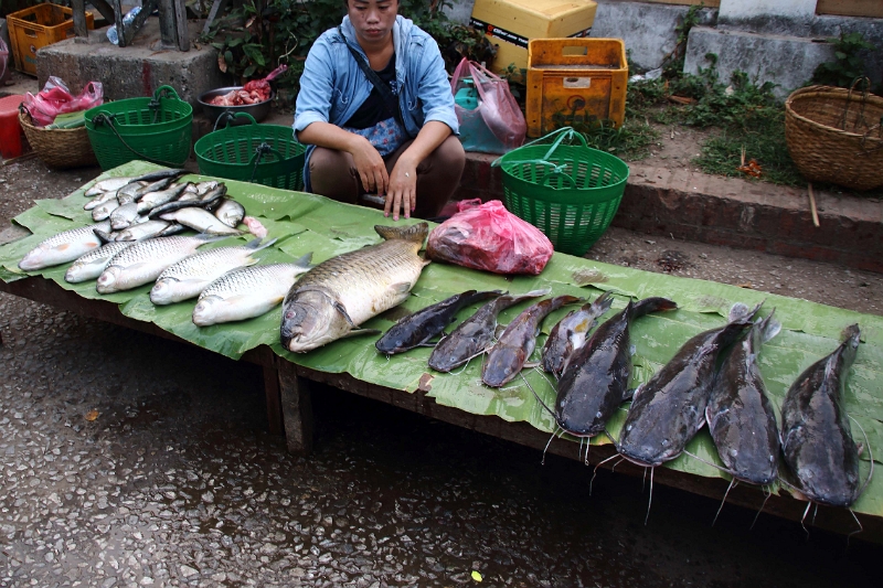 59_luang_prabang_marche_013.jpg