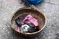 59_luang_prabang_marche_007