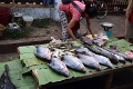 59_luang_prabang_marche_012