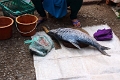 59_luang_prabang_marche_018