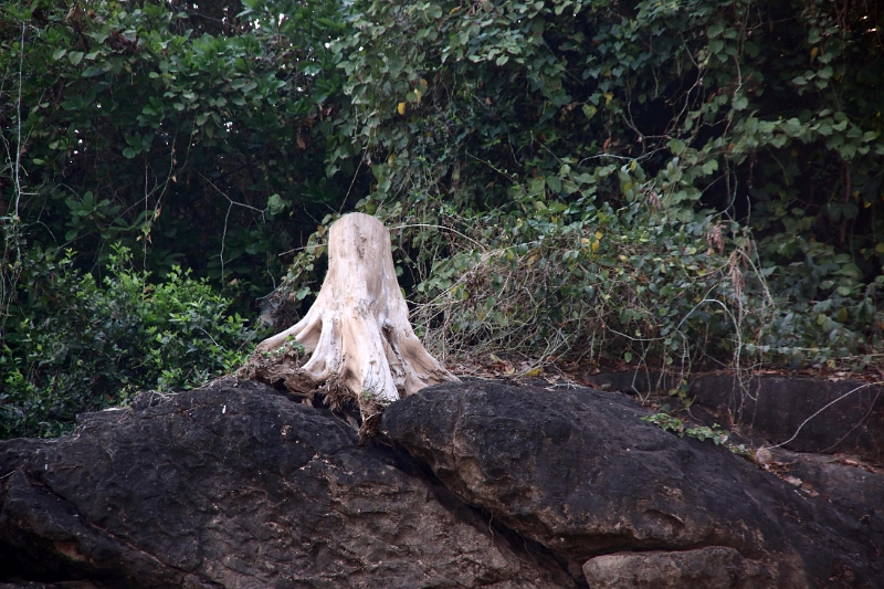 60_excursion_mekong_015.jpg