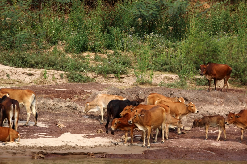 60_excursion_mekong_033.jpg