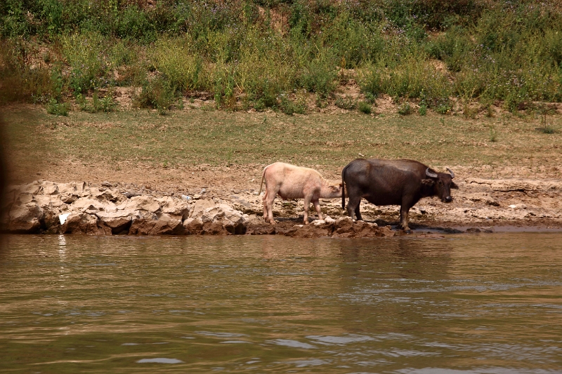 60_excursion_mekong_039.jpg