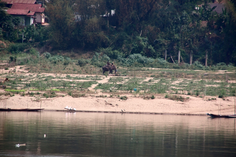 60_excursion_mekong_056.jpg