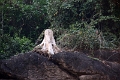 60_excursion_mekong_015