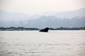 60_excursion_mekong_026