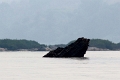 60_excursion_mekong_027