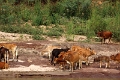 60_excursion_mekong_033