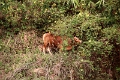 60_excursion_mekong_034