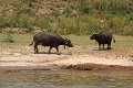 60_excursion_mekong_038