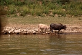 60_excursion_mekong_039