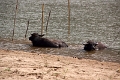 60_excursion_mekong_071