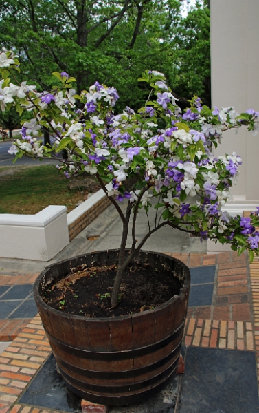 06_franschhoek_002.jpg