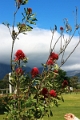 06_franschhoek_011