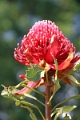 06_franschhoek_013