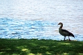 07_la_barrique_004
