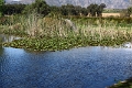 07_la_barrique_006
