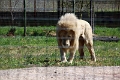 07_la_barrique_009