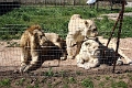 07_la_barrique_028
