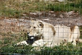 07_la_barrique_033