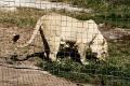 07_la_barrique_035