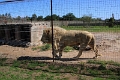 07_la_barrique_037