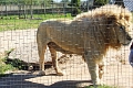 07_la_barrique_040