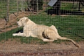 07_la_barrique_041